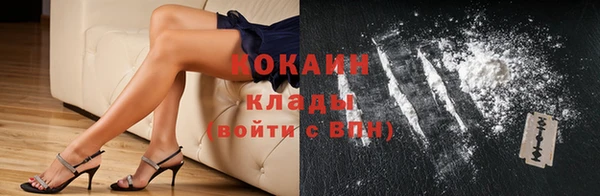 мдпв Верхний Тагил